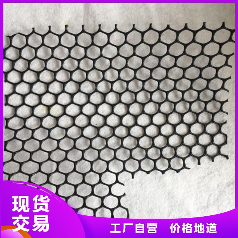 专注三维植被网销售