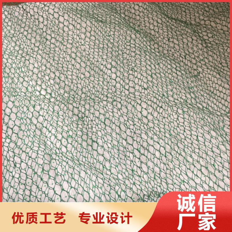 价格合理的三维植被网厂家出厂严格质检