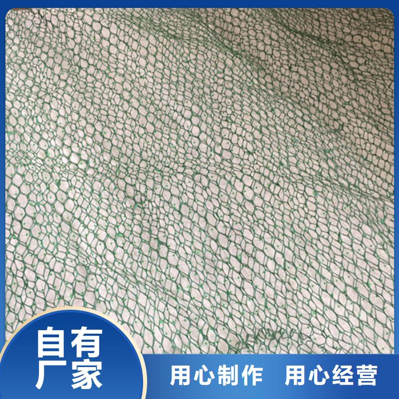 三维植被网产品案例