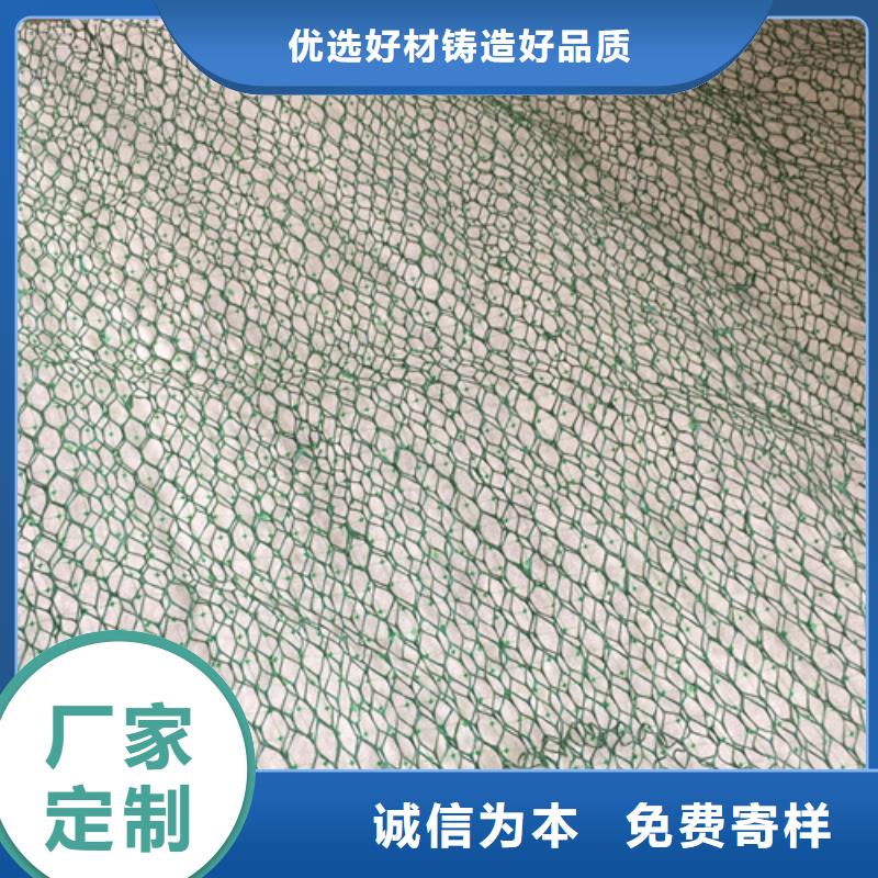 三维植被网精选厂家