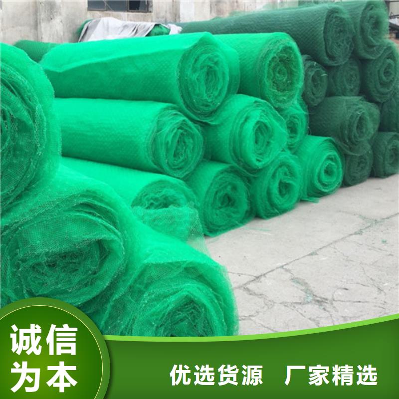 三维植被网生产厂家