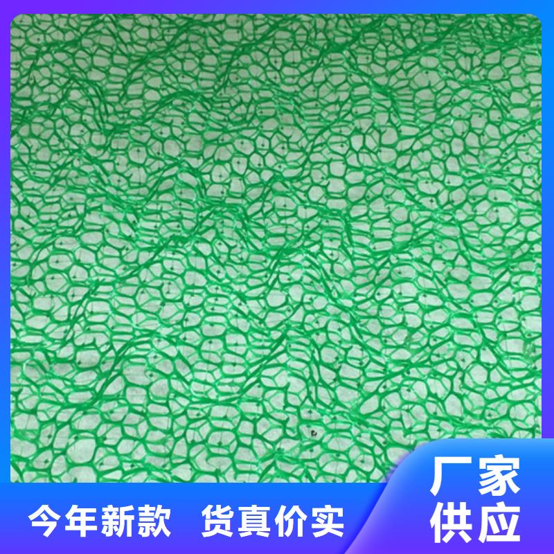 快速:三维植被网厂家