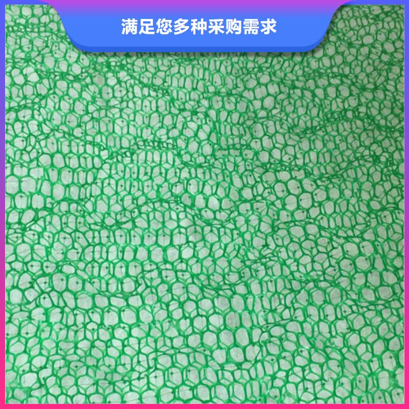 三维植被网批量采购按需设计
