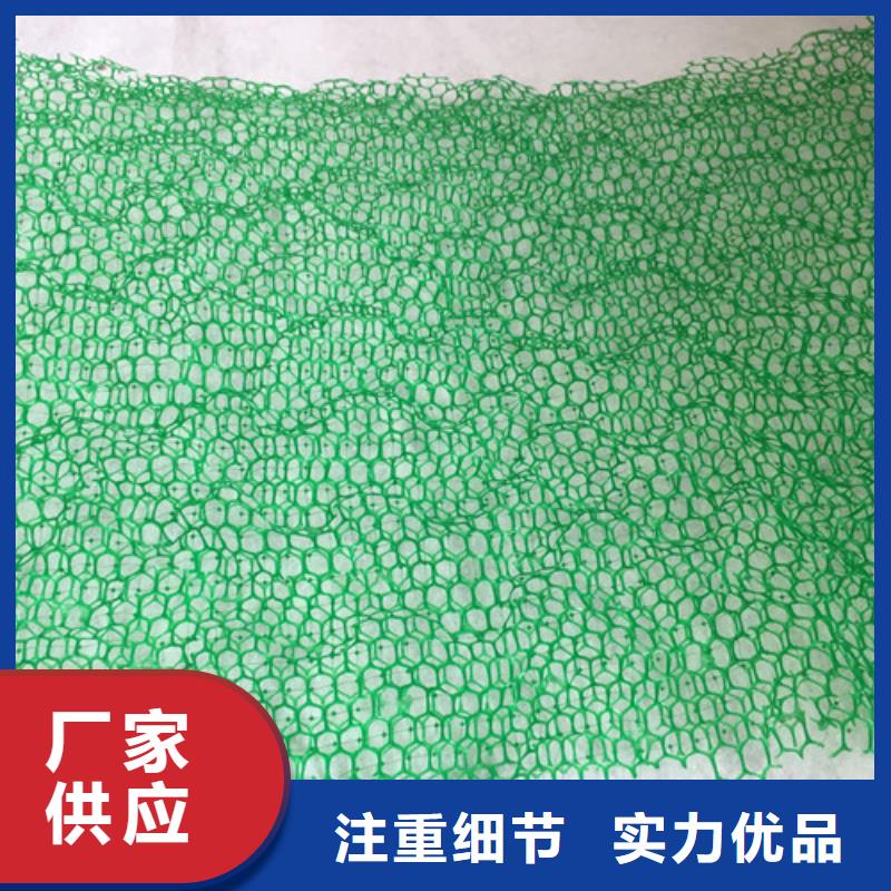 批发三维植被网的销售厂家