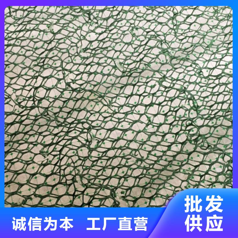 三维植被网,三维植被网生产品牌