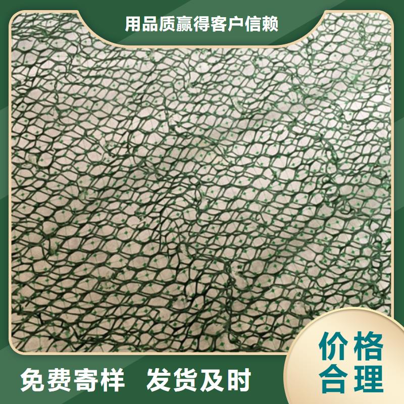 三维植被网-一家专业的厂家