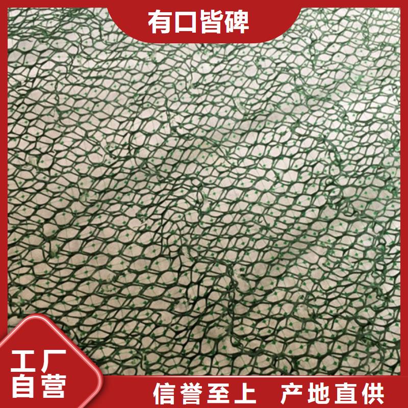 三维植被网排行本地公司