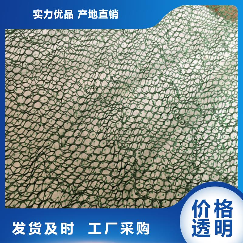 三维植被网产品案例