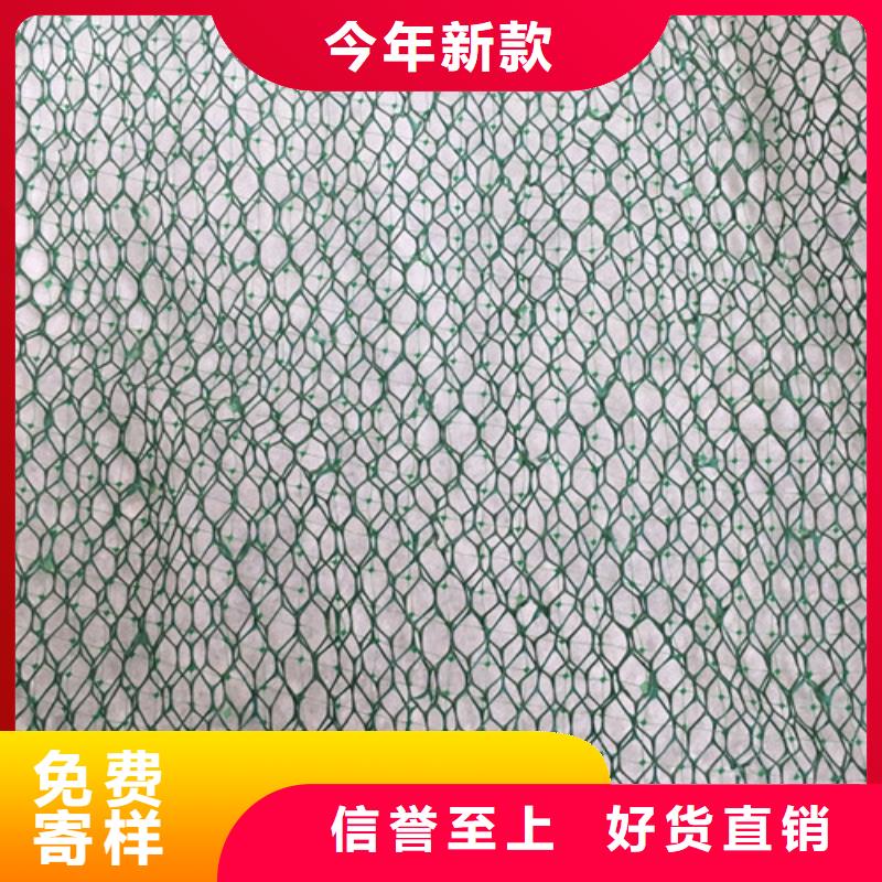 常年供应三维植被网-全国配送