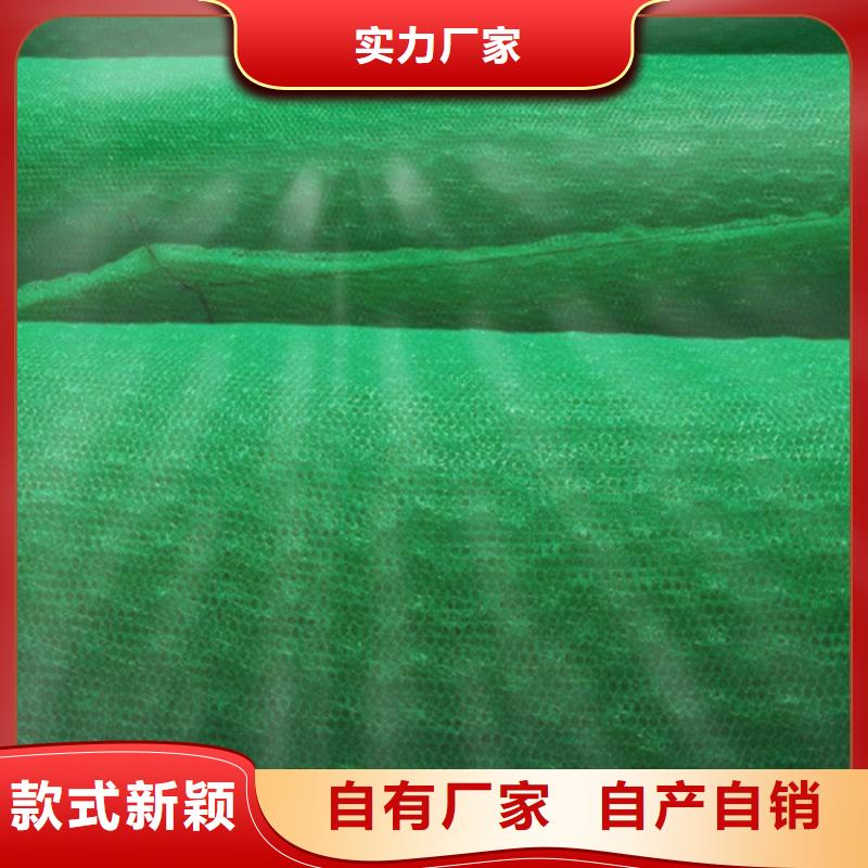 三维植被网产品案例