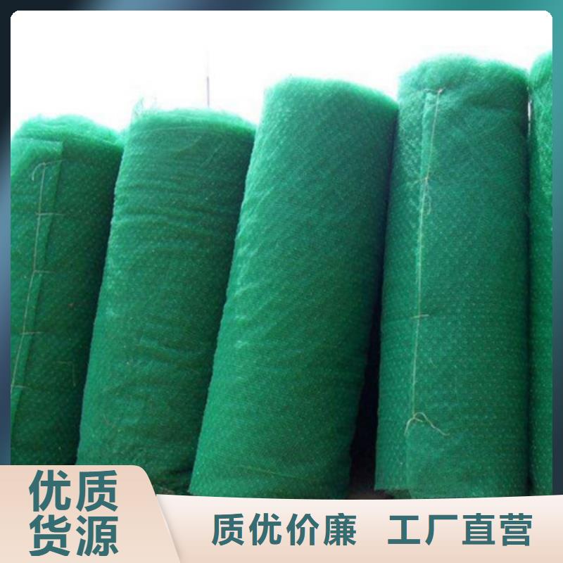 供应批发三维植被网厂家