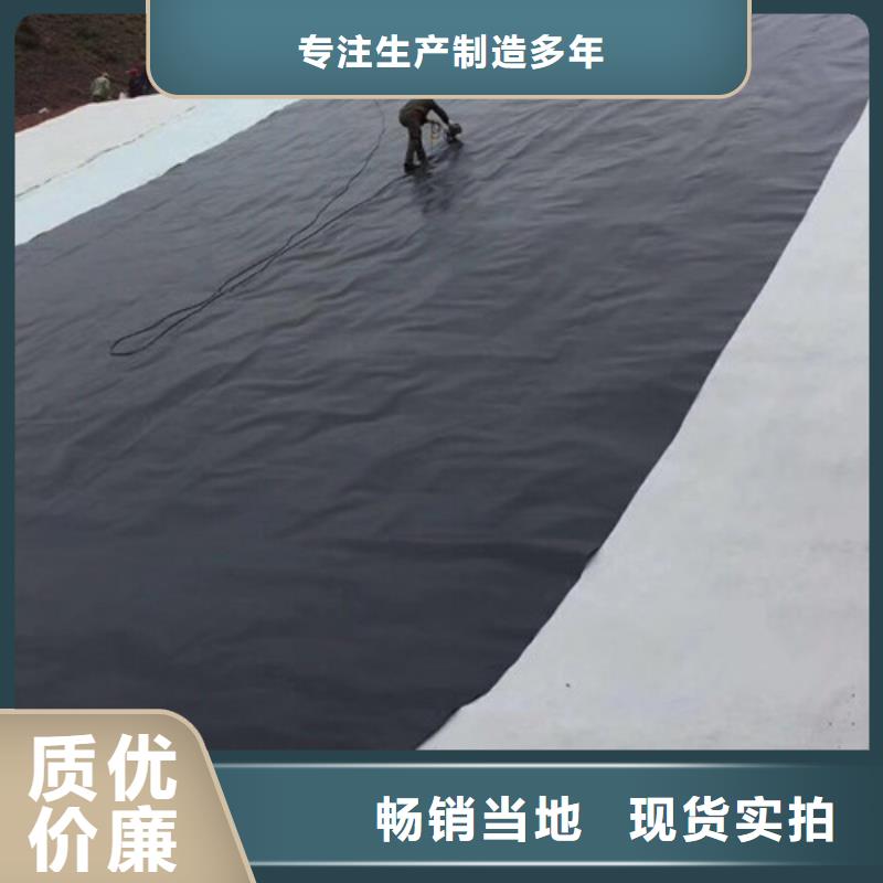 土工膜、土工膜厂家直销-本地企业
