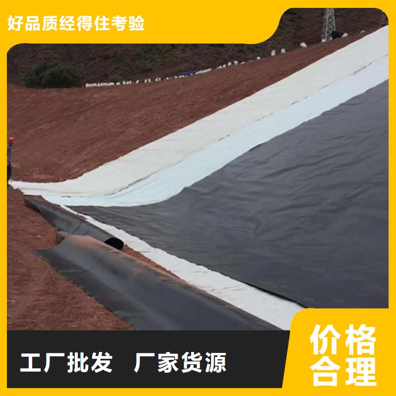 端州土工膜随时发货快