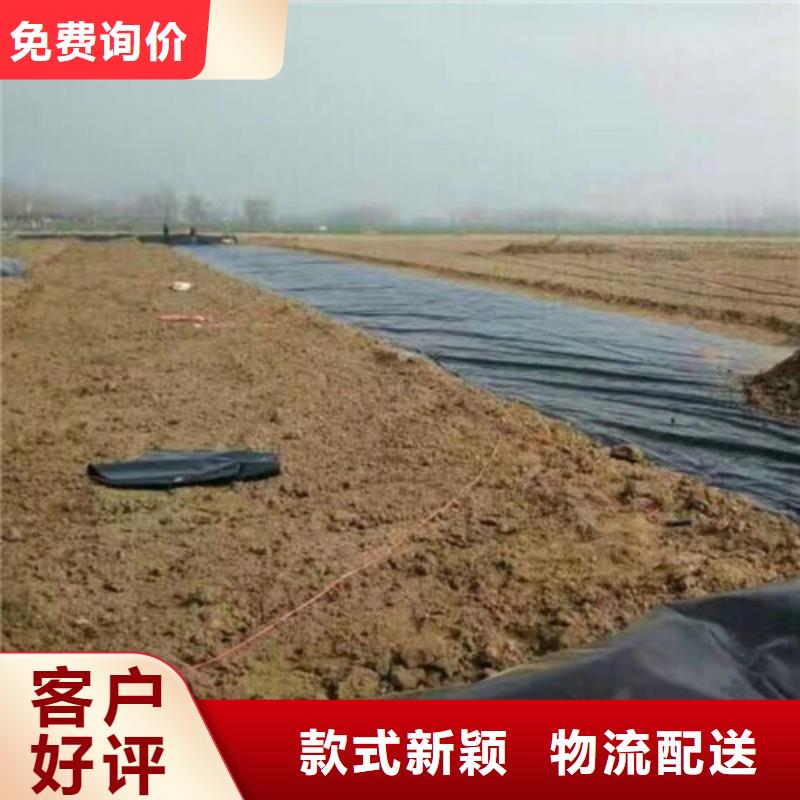 糙面土工膜本地厂家