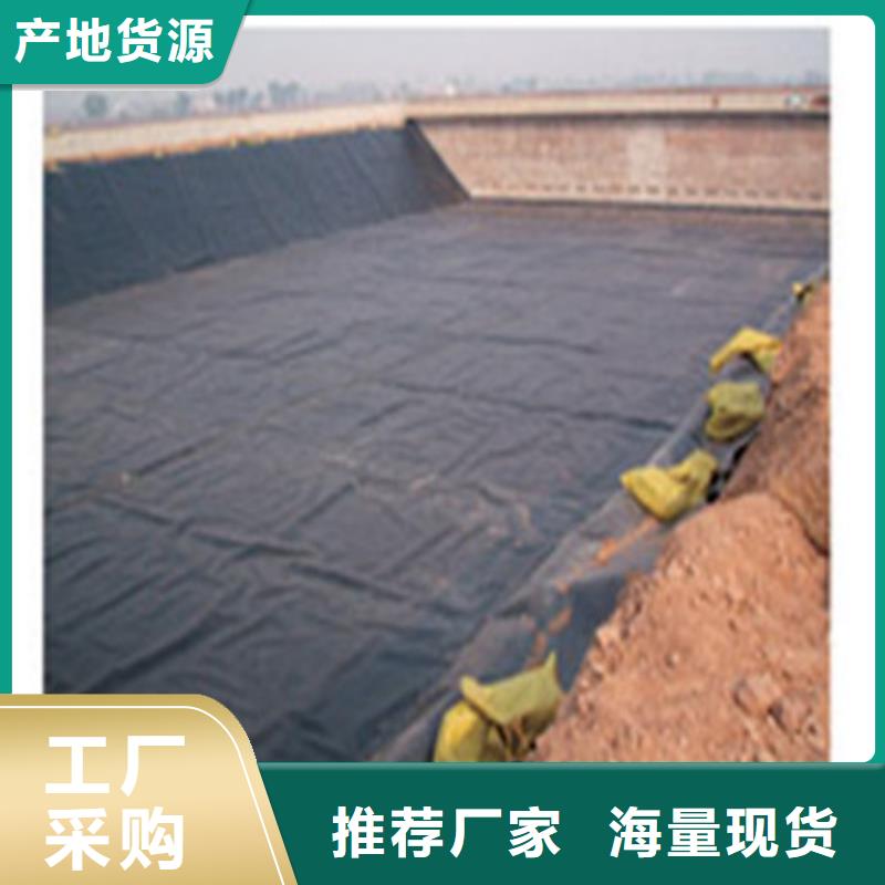 土工膜精选厂家实力见证