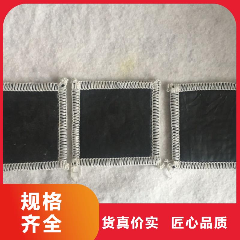 膨润土防水毯单价