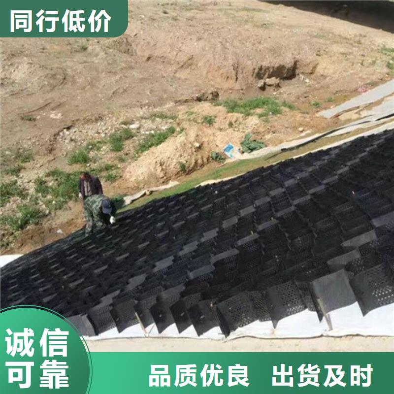土工格室规格库存充足_2025本地报价