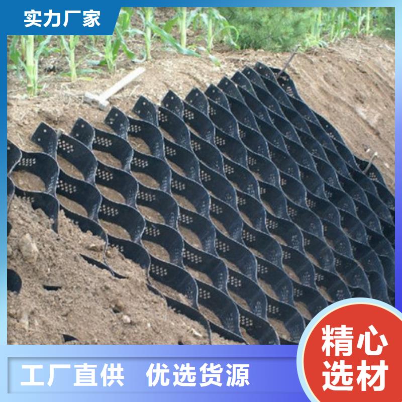 土工格室企业-大厂直销