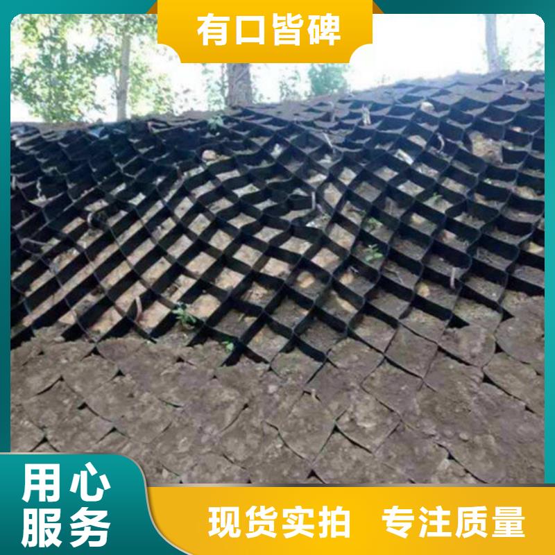 供应批发土工格室-省钱