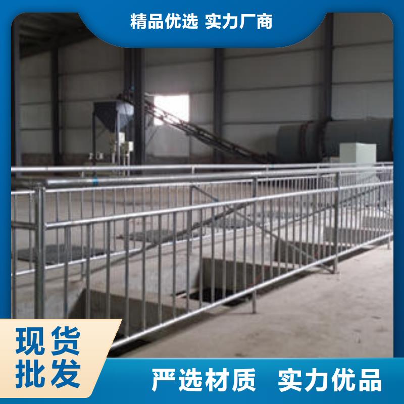 发货及时的控释肥设备公司