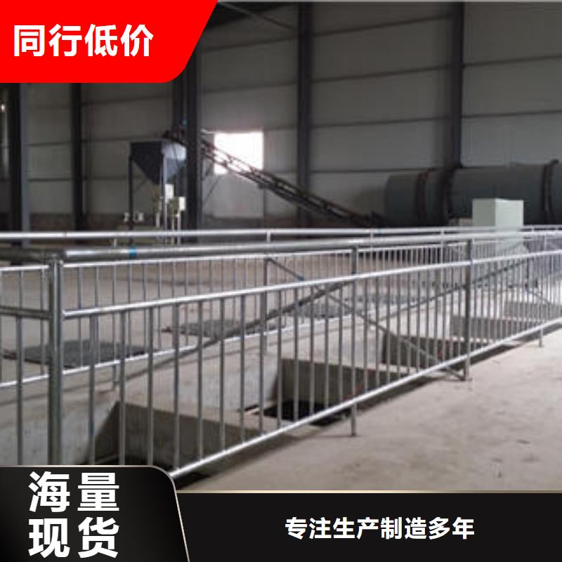 控释肥设备期待您的咨询