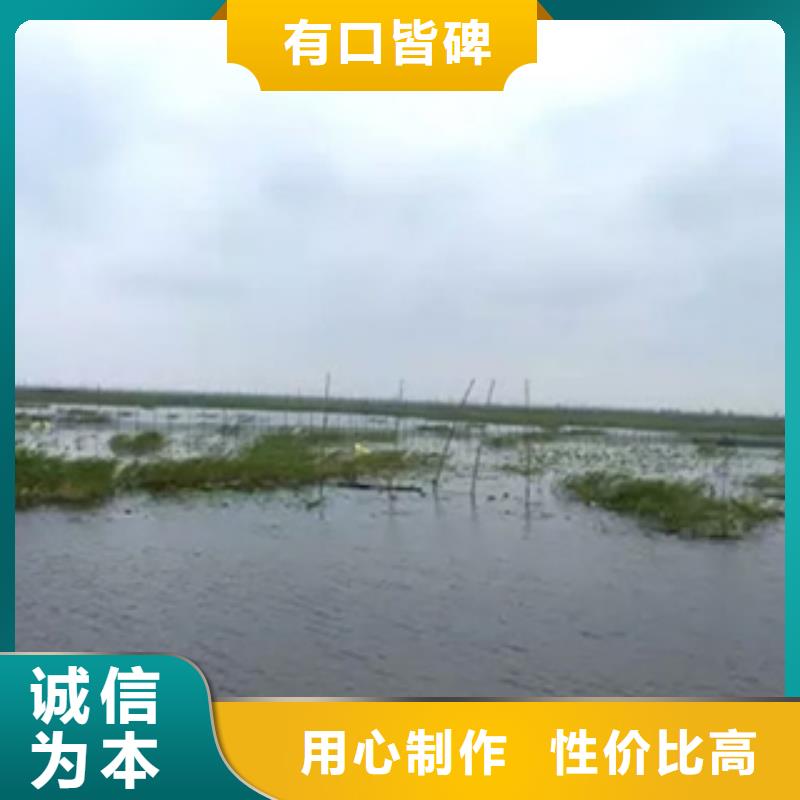 （小龙虾苗价格）小龙虾养殖基地