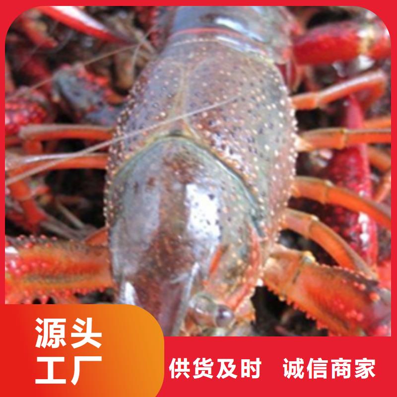 质量可靠的水产养殖公司