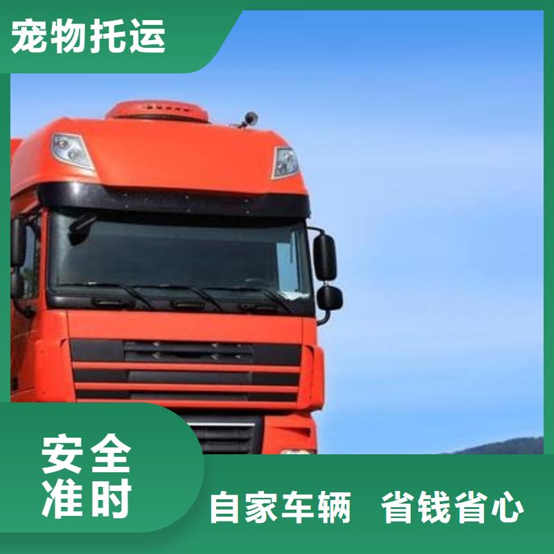 ​资讯：天水物流专线厂家
