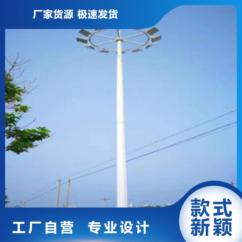 监控杆-为您服务