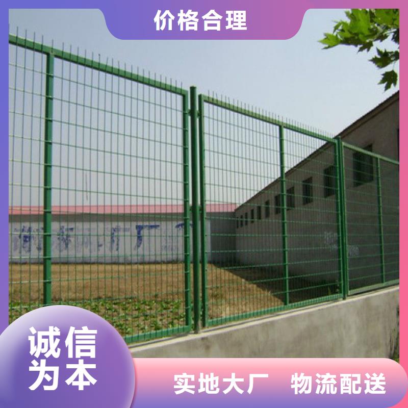 专业销售护栏网-大型厂家