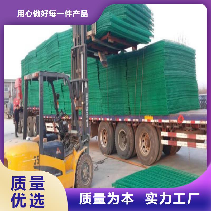 护栏网-我们是厂家！