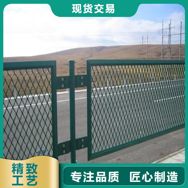 护栏网-我们是厂家！