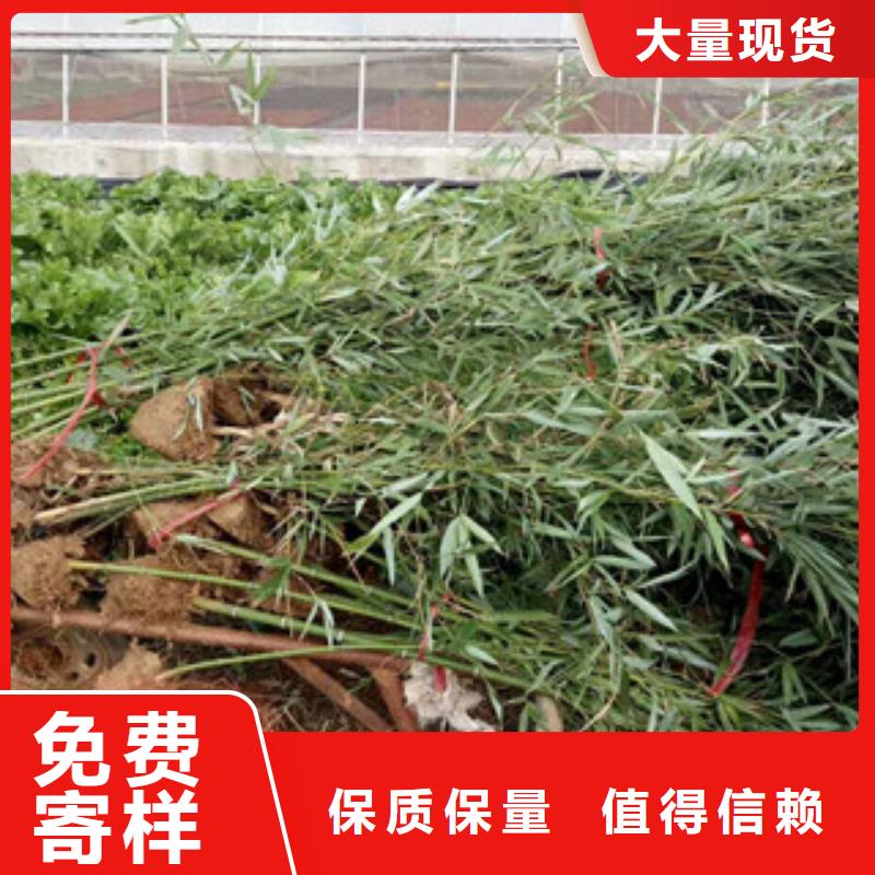 花海设计十年生产经验