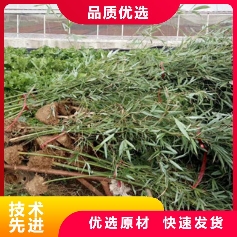 优质花海设计的公司