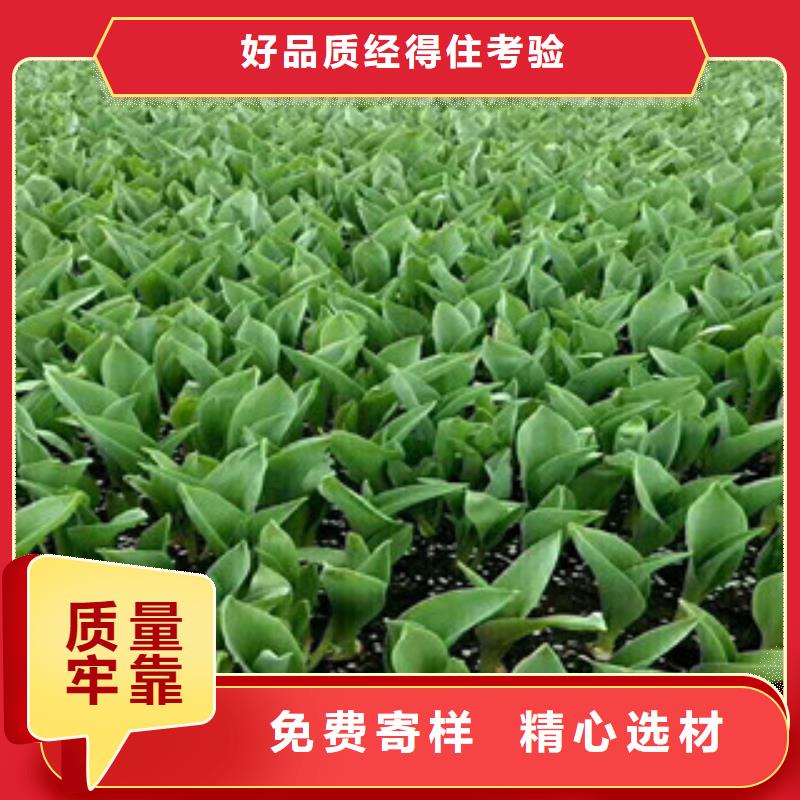 花海设计价格资讯