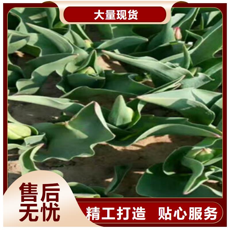 花海设计-质量不用愁