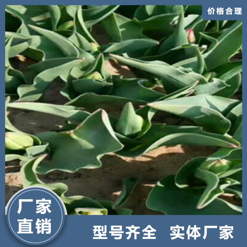 花海设计全国施工