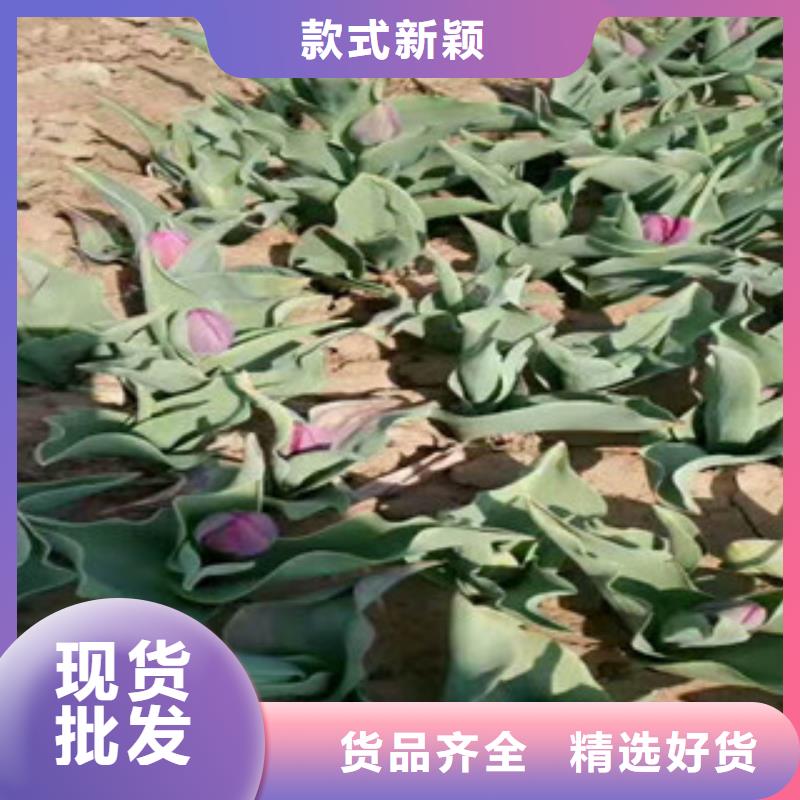 花海设计十年生产经验