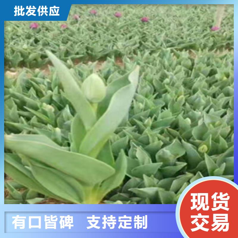 花海设计生产厂家有样品