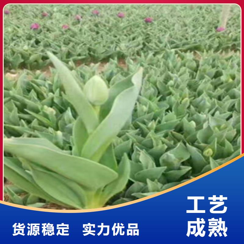 花海设计现货厂家