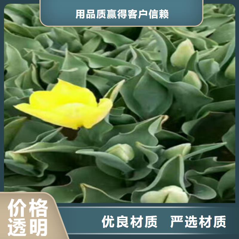 花海设计十年生产经验