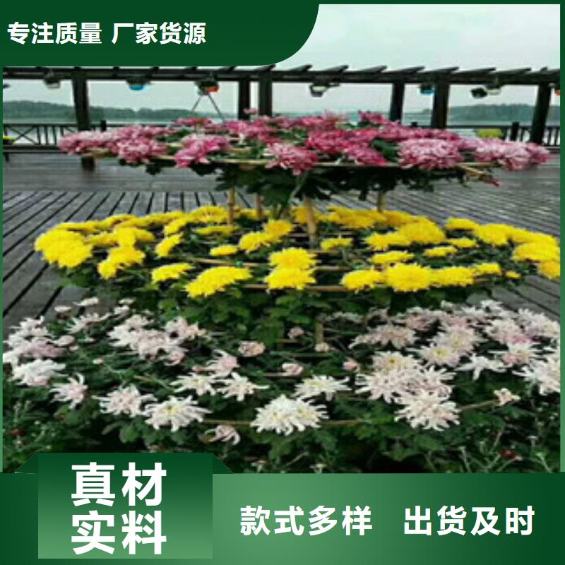 花海设计价格便宜