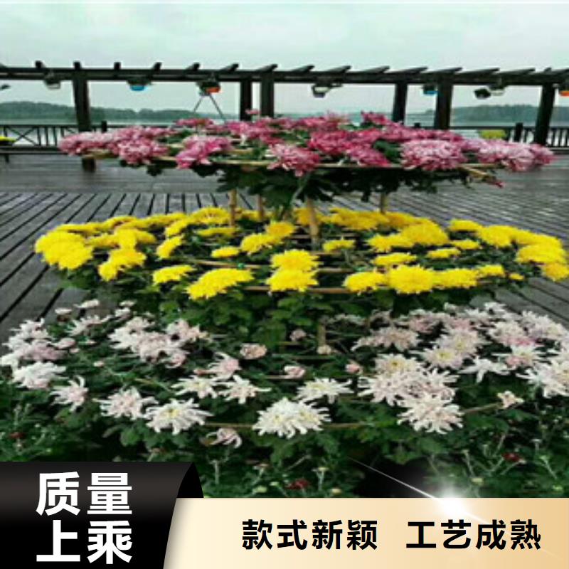 花海设计产地直销