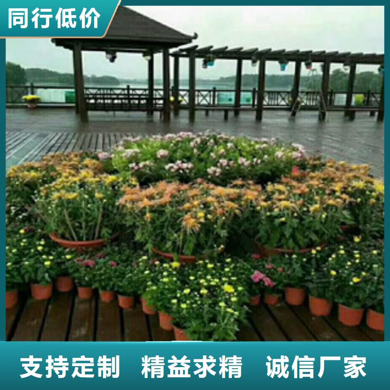 花海设计厂家广受好评