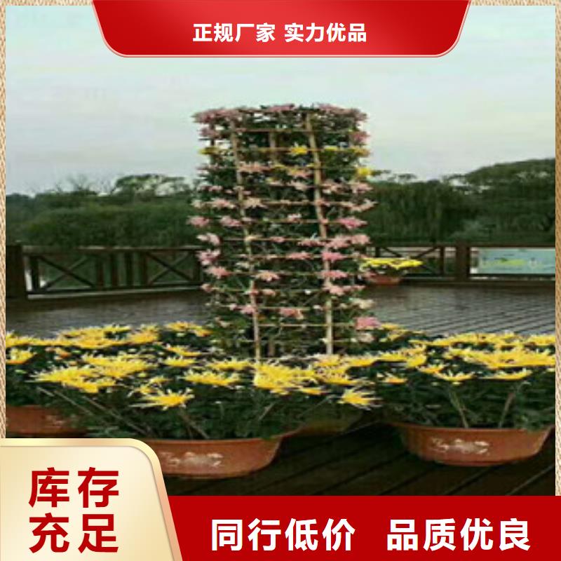 花海设计现货直销厂家