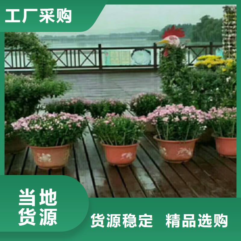 花海设计质量有保障的厂家