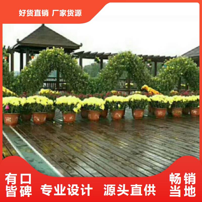 花海设计行情走势