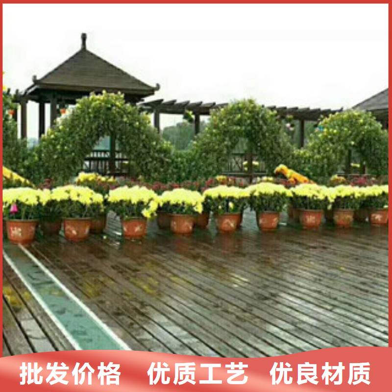 本地的花海设计生产厂家