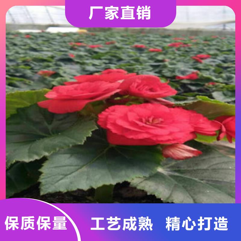 花海设计品质有保证
