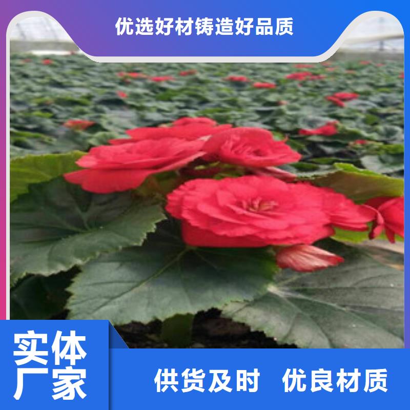 花海设计解决方案